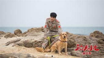 神犬小七第三季在线免费观看  第2张